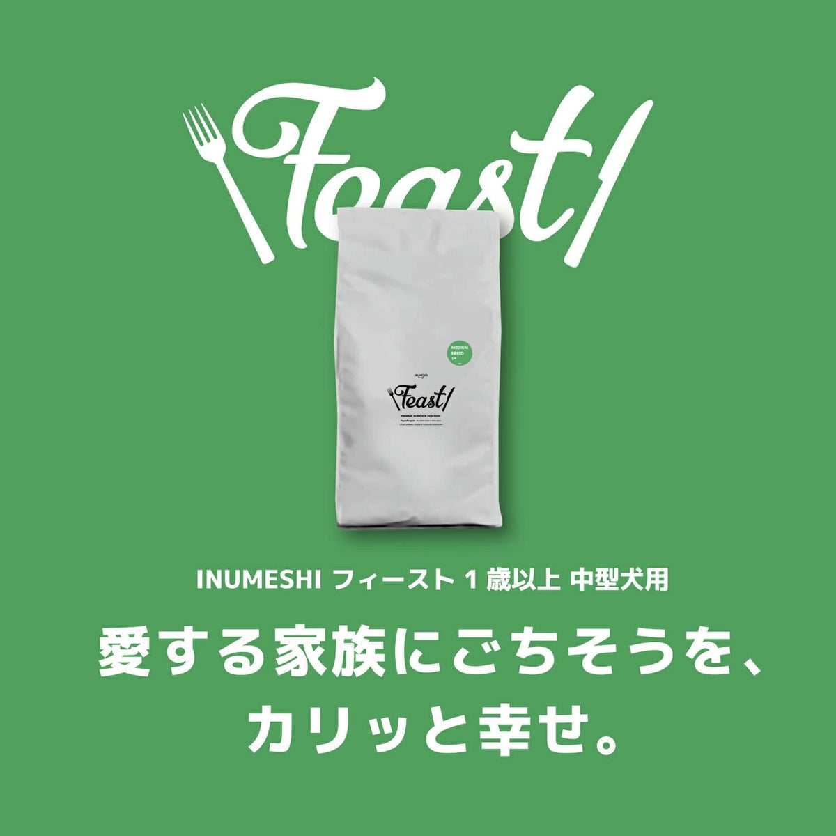 INUMESHI　フィースト　1歳以上　中型犬用　5kg