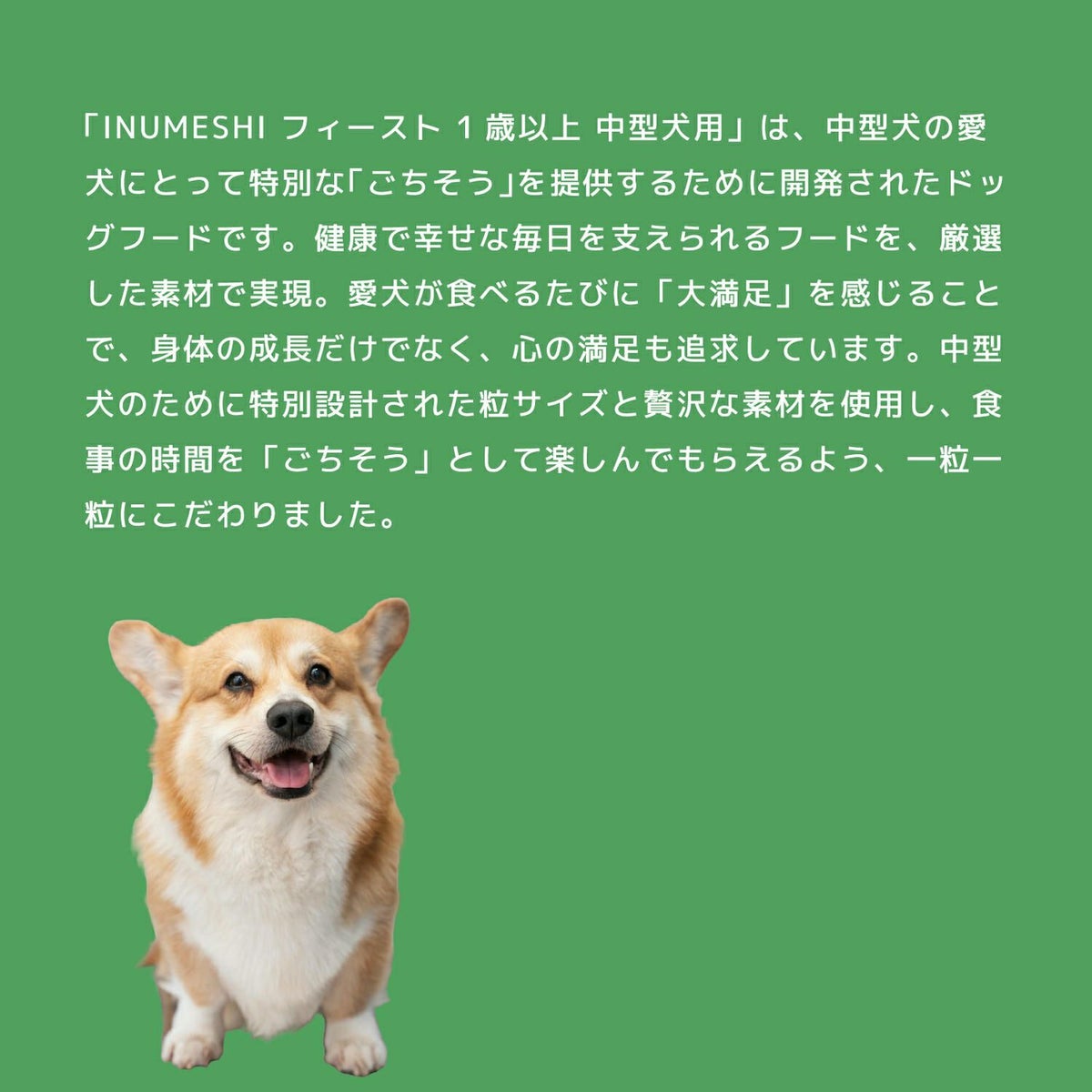 INUMESHI　フィースト　1歳以上　中型犬用　5kg