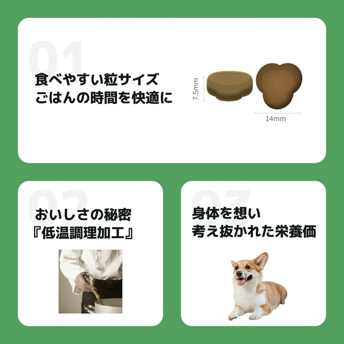 INUMESHI　フィースト　1歳以上　中型犬用　5kg
