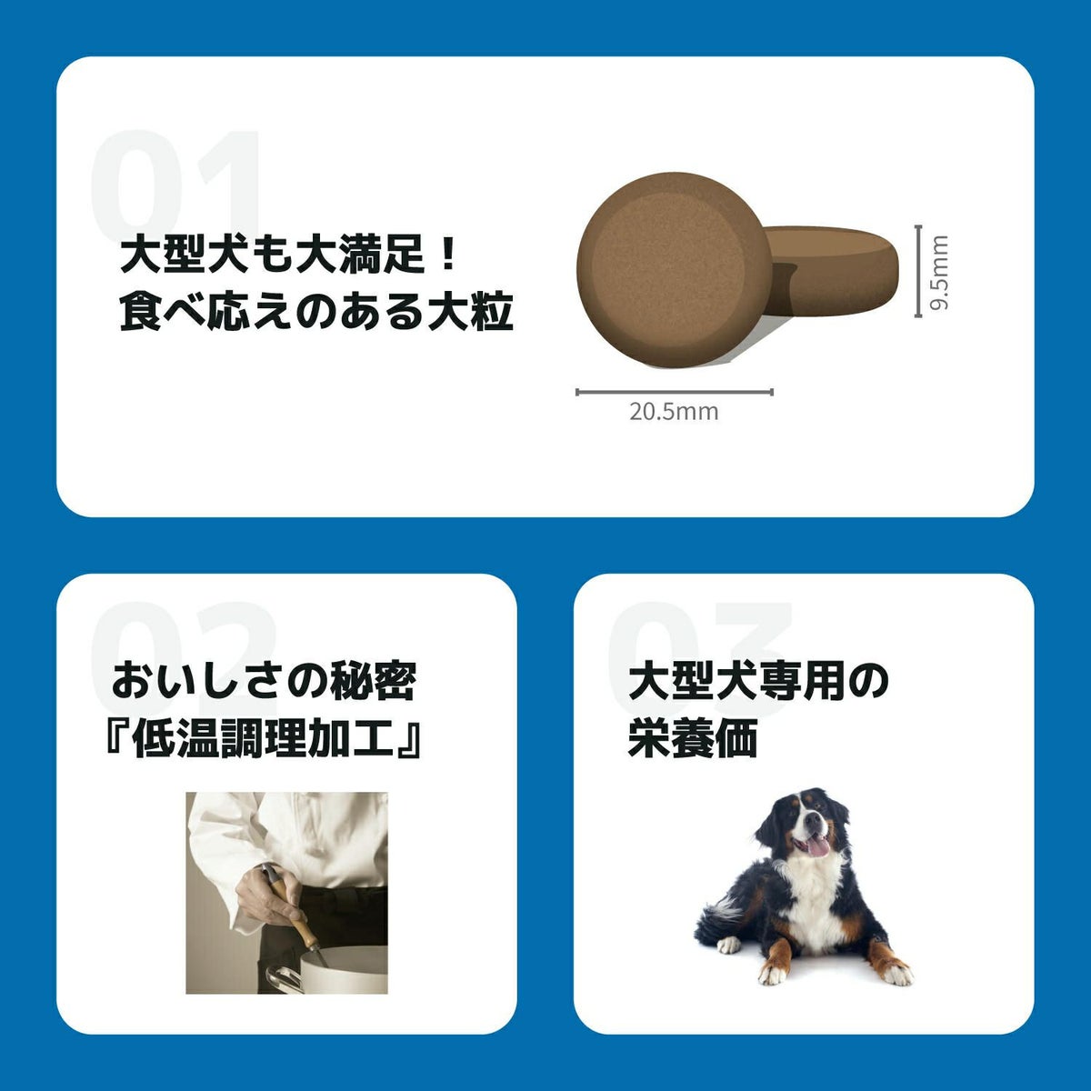INUMESHI　フィースト　1歳以上　大型犬用　5kg