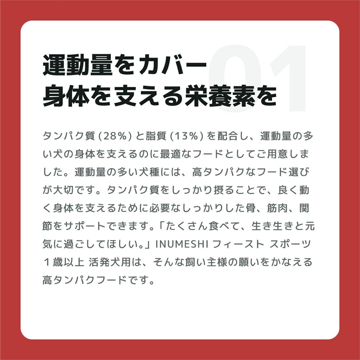 INUMESHI　フィースト　プレミアム　スポーツ　1歳以上　活発犬用　5kg