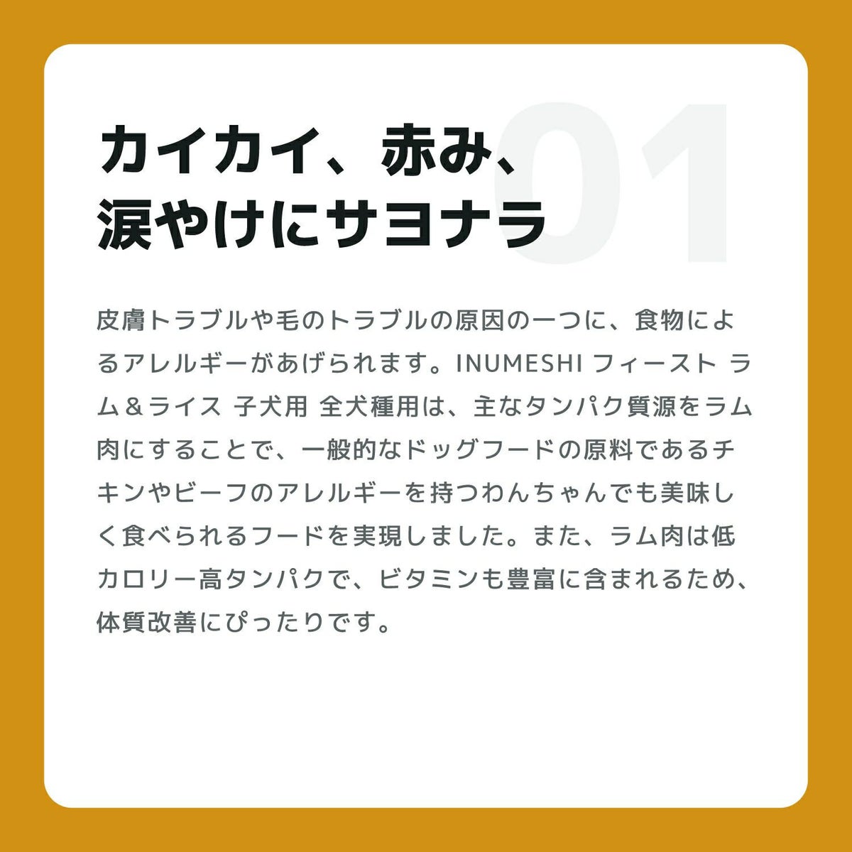 INUMESHI　フィースト　ラム&ライス　1歳以上　小型犬用　5kg