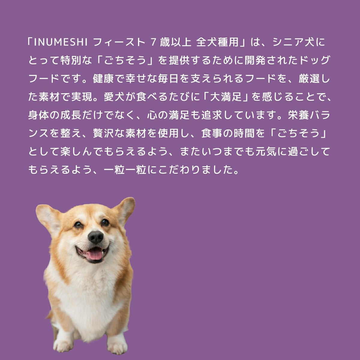 INUMESHI　フィースト　7歳以上　全犬種用　5kg