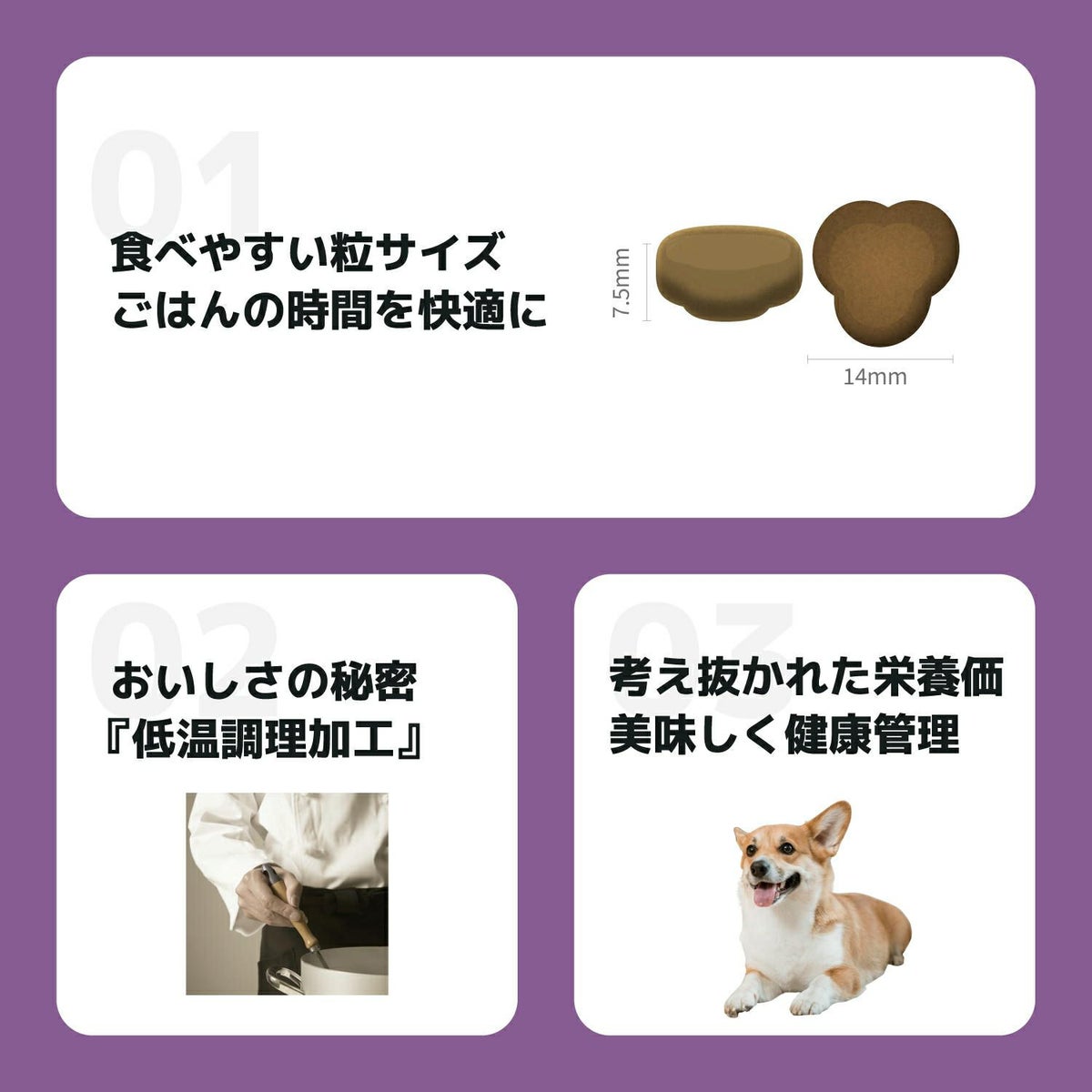 INUMESHI　フィースト　7歳以上　全犬種用　5kg